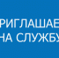 Приём на должность инспектора дорожно-патрульной службы - Палехский район